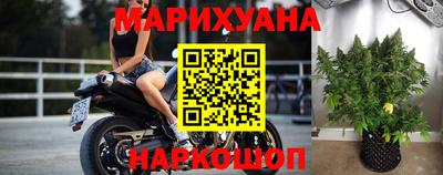 дживик Кингисепп