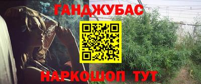 дживик Кингисепп