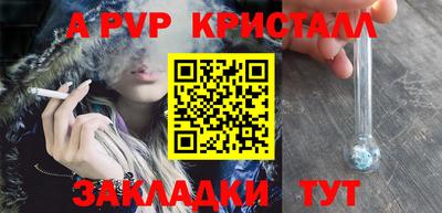 дживик Кингисепп