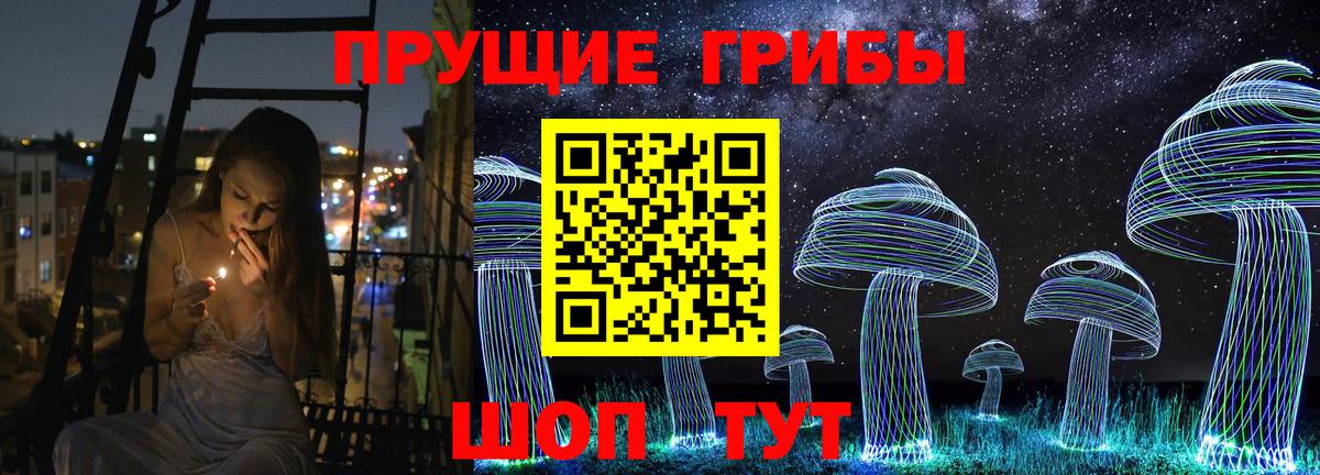 Псилоцибиновые грибы Cubensis  Вход с VPN  Елец 